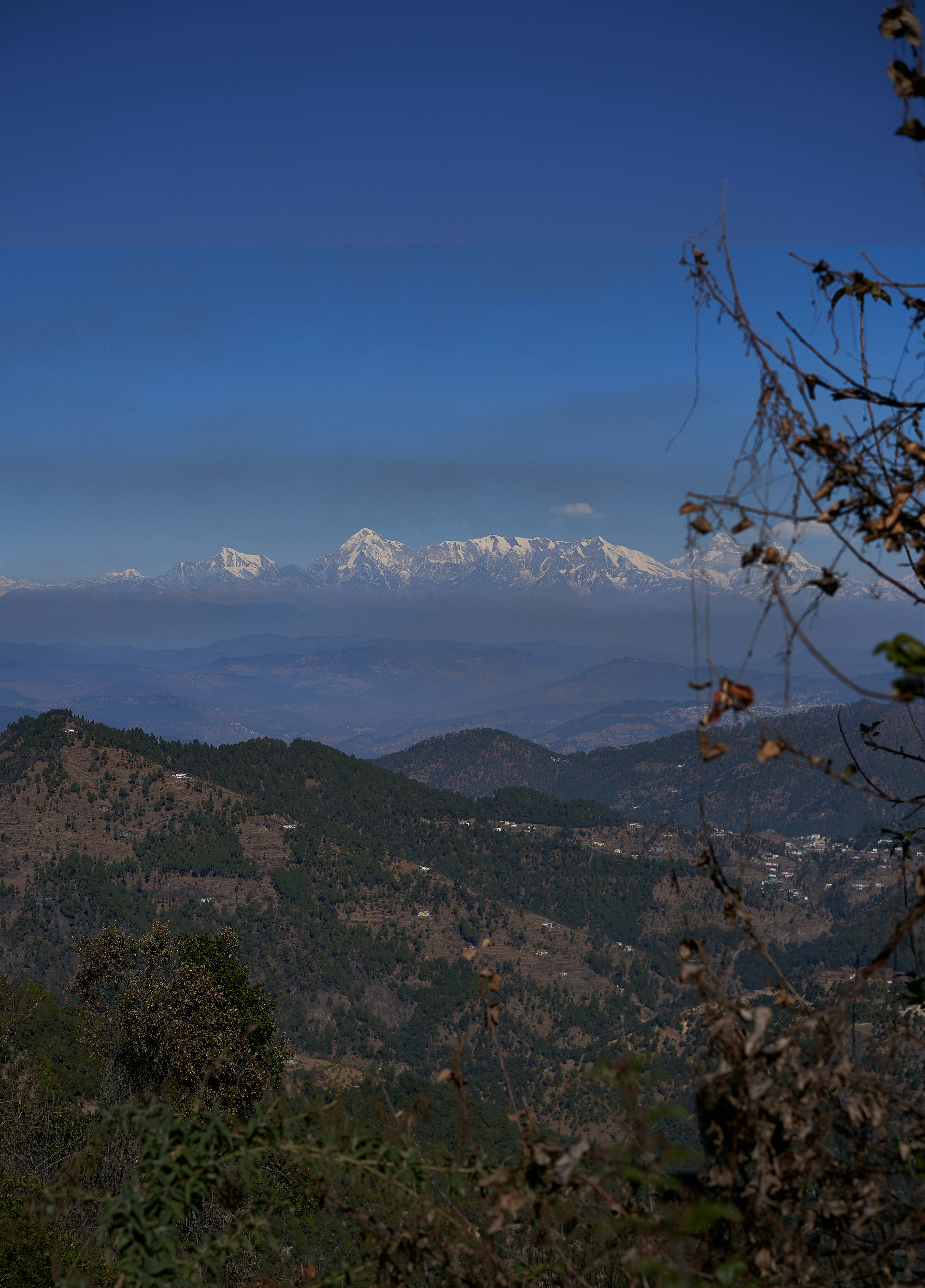 green trees on mountain during daytime